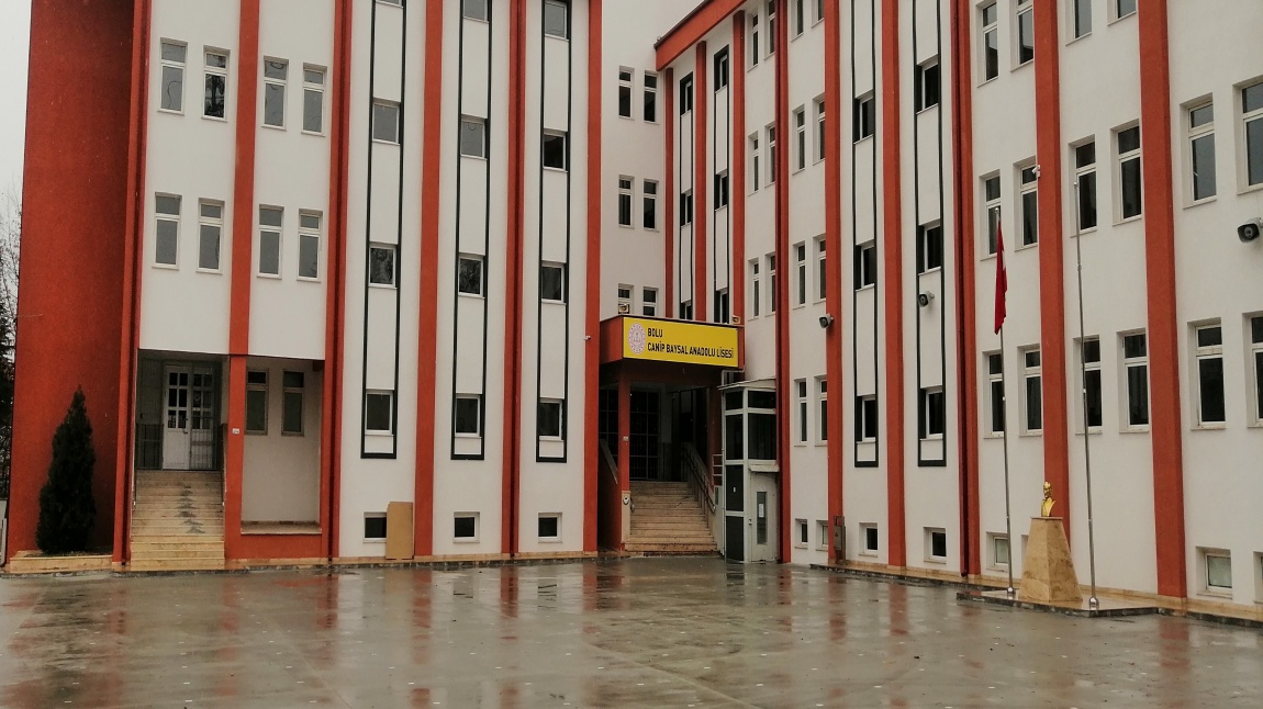 Canip Baysal Anadolu Lisesi Fotoğrafı